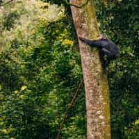 Wonderful Experience!!