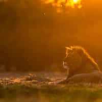 Great Booking experience