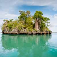 Efficiency, knowledge and support,