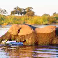 Just about as easy as can be