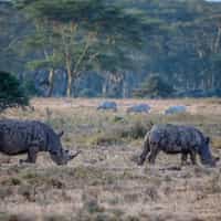 Great offerings with a painless booking process