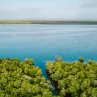 Wonderful and Reliable Service