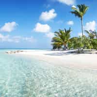 Jonty delivers once again!  Amazing service