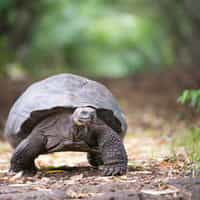 Makes travel planning easy