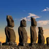 Effective and immediate response. Carola was superb and efficient.