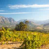 Great service!  I highly recommend it