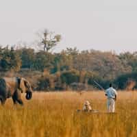 Trip of a Lifetime thanks to Katie Fahrland at Timbuktu!