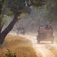 Wild India