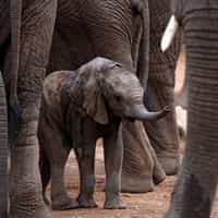 Extremely professional