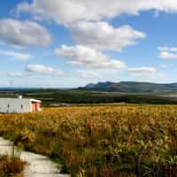Best African Honeymoon Ever: Brought to you by Timbuktu