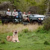 Best Travel Agent to use for Cape Town and Sabi Sand (Kruger) Safari