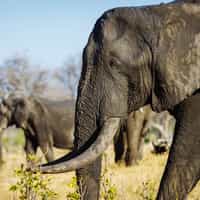 Knowledgeable and helpful