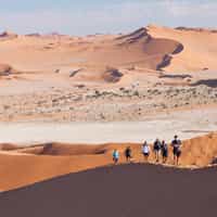 Wonderful service, ideas and follow up