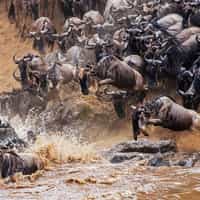 An easy, customizable travel experience