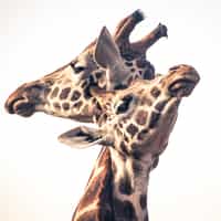 Trip of of LIfetime Becomes Reality!