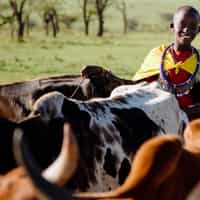 Kat helped me craft the most amazing birthday trip EVER!