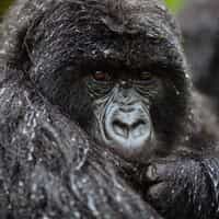 Experience of a lifetime