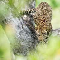 Great experience! We loved our trip.