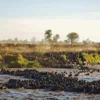 Good prompt service.