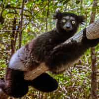 Great Customizable Trips And Responsive Customer Service