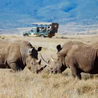 Great service and perfect trip!