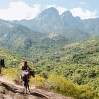 Absolutely Life-Changing Trip to Africa