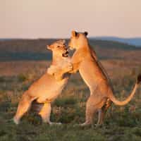 Great service and planning