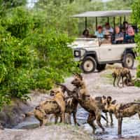 My trip was AMAZING! Meg went above & beyond to make a trip of a lifetime:)