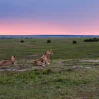 Seamless planning experience plus lovely trip planned to perfection