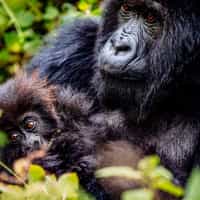 Best experience on planning a trip