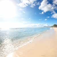 Can't say enough good things!