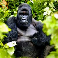 Great job Kat at Timbuktu