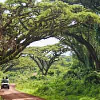 Timbuktu offers piece of mind when making your travel plans!