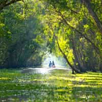 Relax and Enjoy While a Great Team Creates Your Perfect Trip