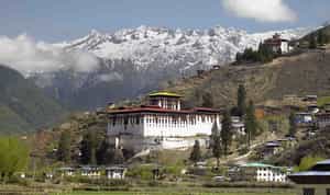 Visit the Zuri Dzong, Rinpung Dzong monastery