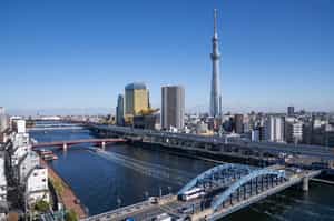 Take in the views from Sumidagawa River, Tokyo