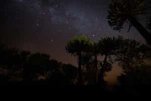 Enjoy stargazing in the clarity of central Kruger