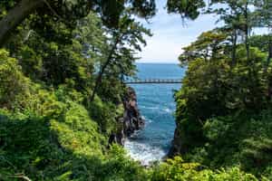Hike Jogasaki's volcanic cliffs and bridge