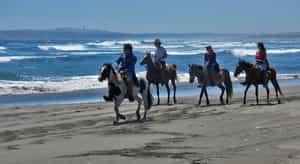 Horseback ride across the Ritoque Dunes