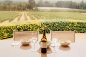 Scenic wine farm lunch with vineyard views