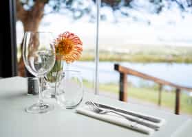 Scenic wine farm lunch with vineyard views