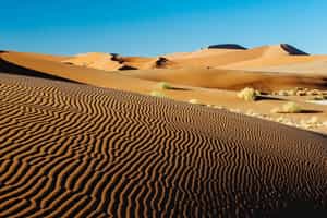 Explore the dunes of the Sossusvlei desert