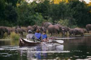 Go on a canoe safari in the Lower Zambezi