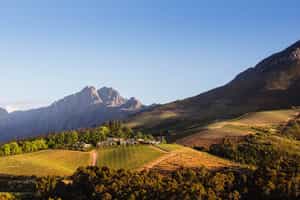 A wine tasting tour of Franschhoek's wine farms
