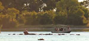 Float down the Zambezi on a sundowner cruise