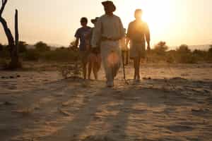 Spot wildlife on a Nyerere National Park walk