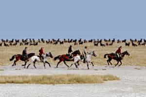 Explore the Makadikgadi Pans on horseback