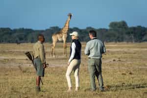 Go on a guided walking safari in Hwange