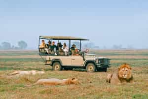 Explore Busanga Plains on a game drive