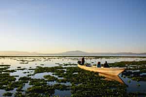 Go on a boat safari on Lake Naivasha
